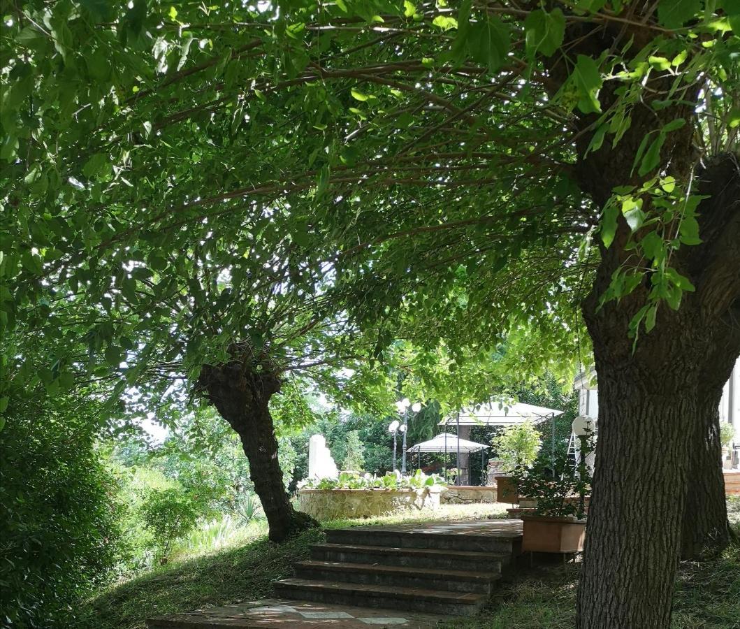 Maison Tuscany Bed&Breakfast Sinalunga Exterior photo